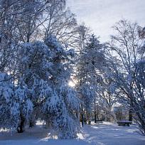 5.2. zasněžený park u školy