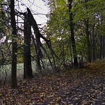 Bílý Kámen