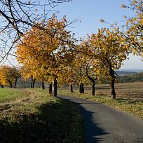 Silnice Zíchov