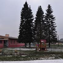 2016 - Zimní Koloveč