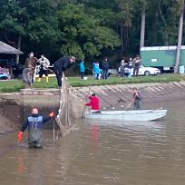 2016 - Výlov rybníka v Holci