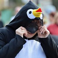 2017 - Masopustní průvod