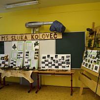 Výstava v ZŠ Koloveč
