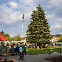 2019 - Stavění májky 
