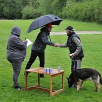 2019 - Kynologické závody o Kolovečský pohár
